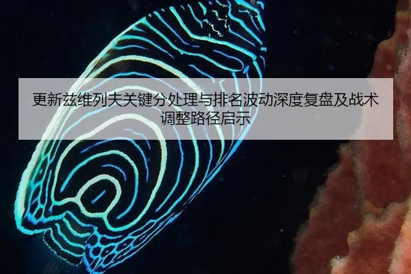 geng-xin-zi-wei-lie-fu-guan-jian-fen-chu-li-yu-pai-ming-bo-dong-shen-du-fu-pan-ji-zhan-shu-tiao-zheng-lu-jing-qi-shi-2-179.jpg